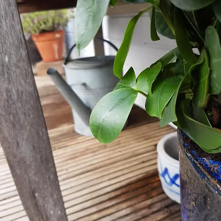 Bateau-hôtel Pantheos Houseboat